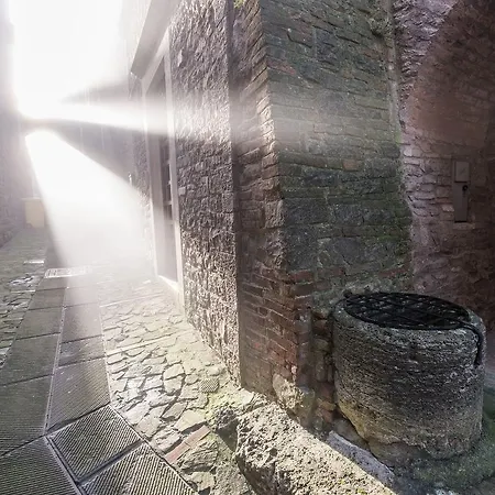 Vermaaten Boutique Emerald